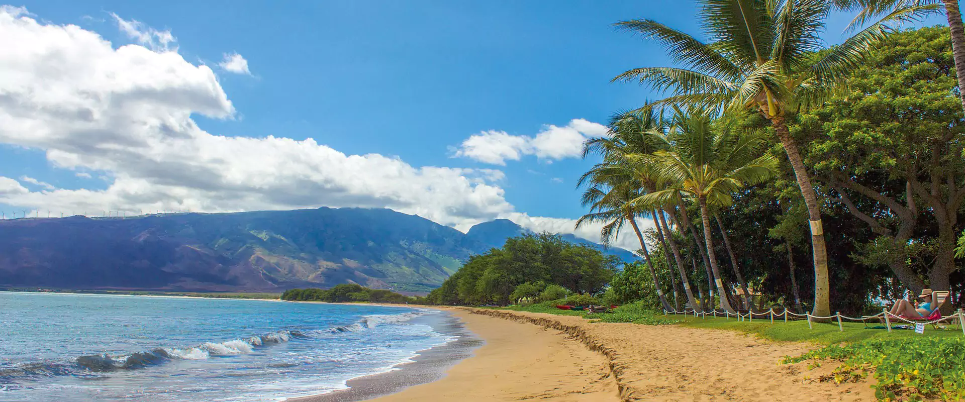 Hawaii tengerpart, pálmák és hegyek